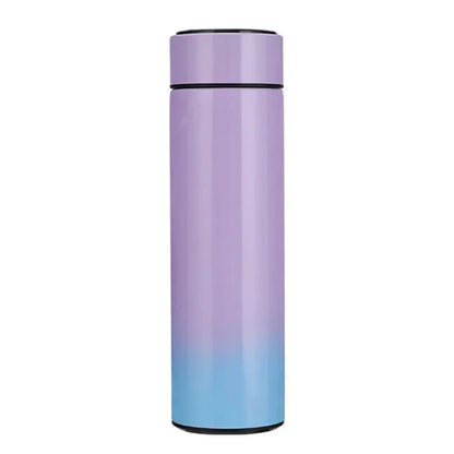 Smart Temperature Display Thermos Bottle