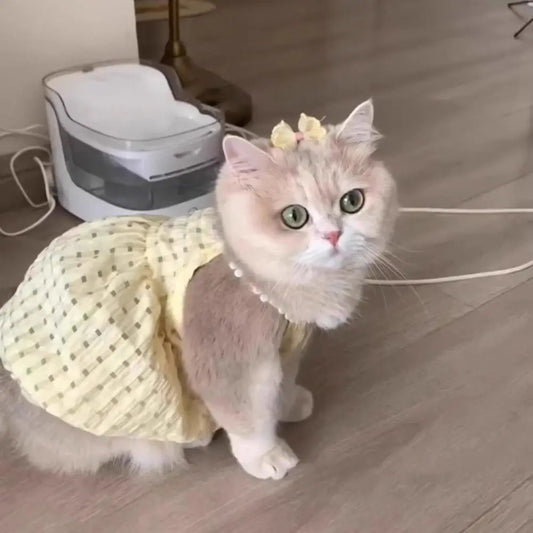 Polka Dot Princess Pet Dress for Cats & Small Dogs