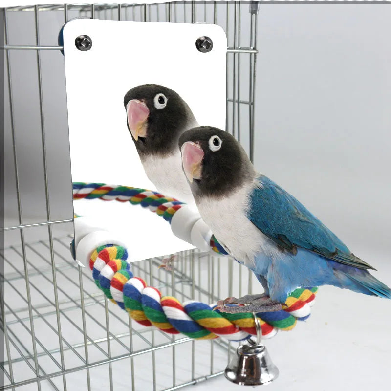Parrot Activity Mirror & Cotton Rope Perch Toy