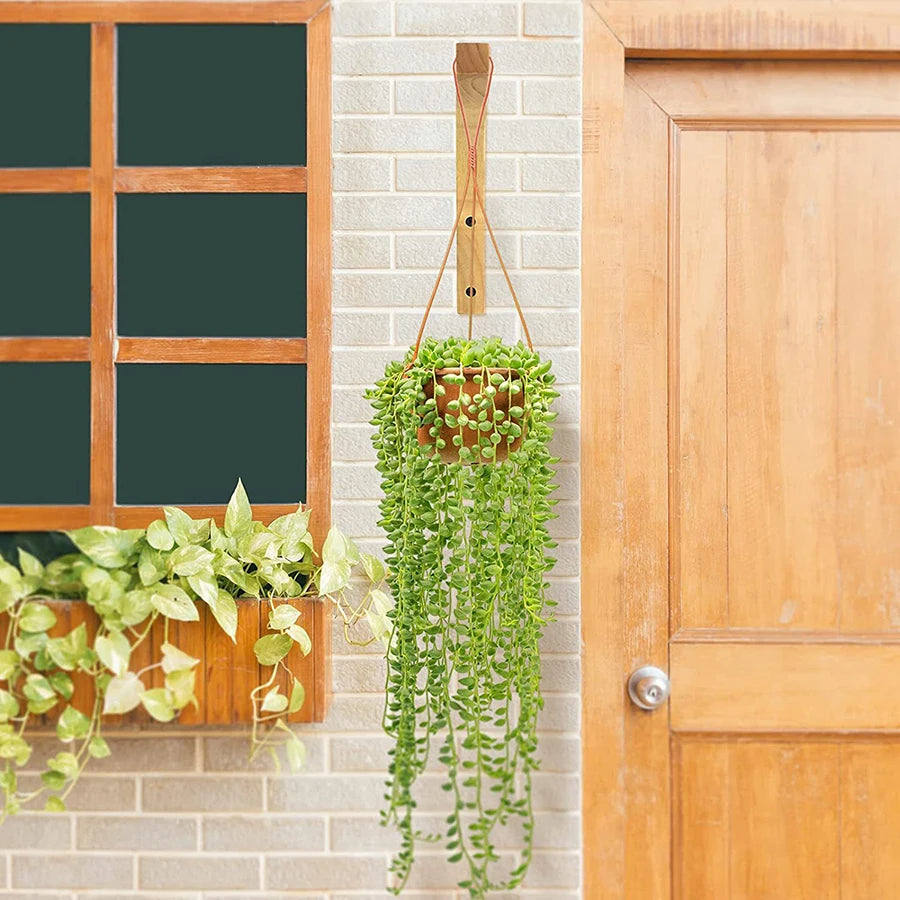 Natural Wooden Wall Plant Hanger