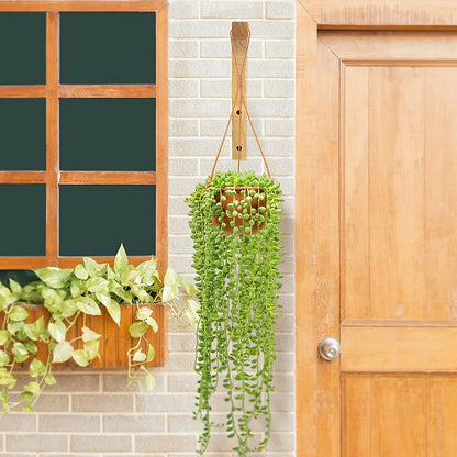 Natural Wooden Wall Plant Hanger