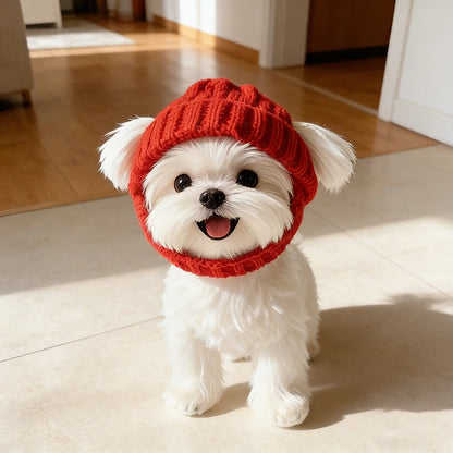 Winter Knitted Dog Hat for Small Dogs