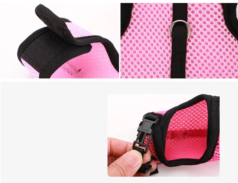 Breathable Small Pet Harness & Leash Set