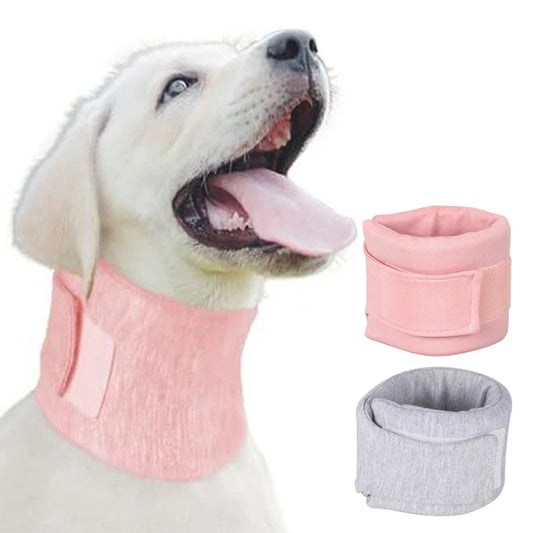 Adjustable Dog Neck Brace for Surgery Recovery