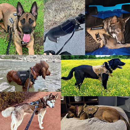 Tactical Dog Training Harness
