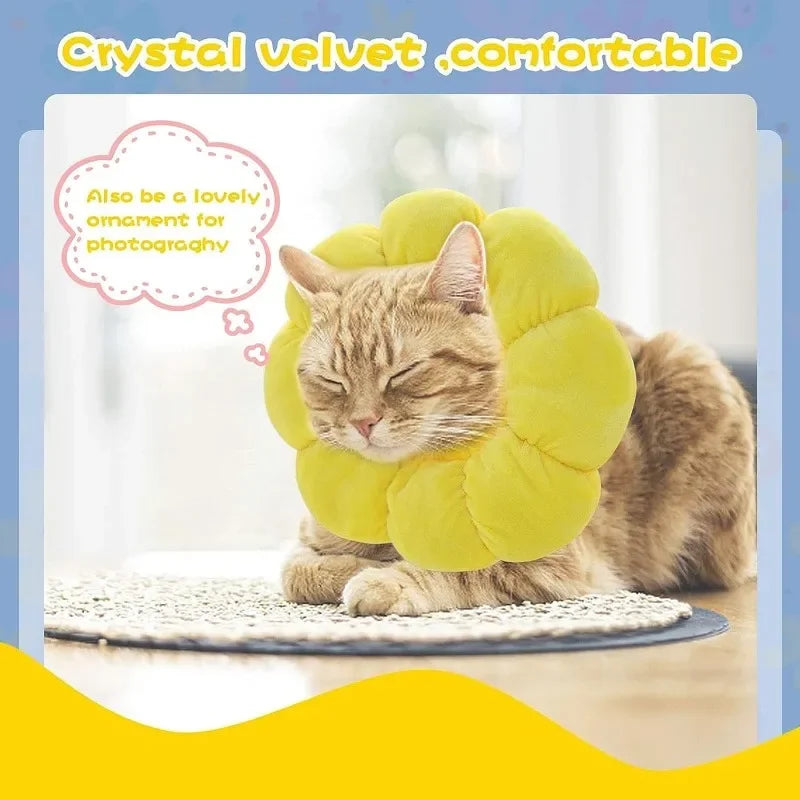 Sunflower Recovery Collar for Cats