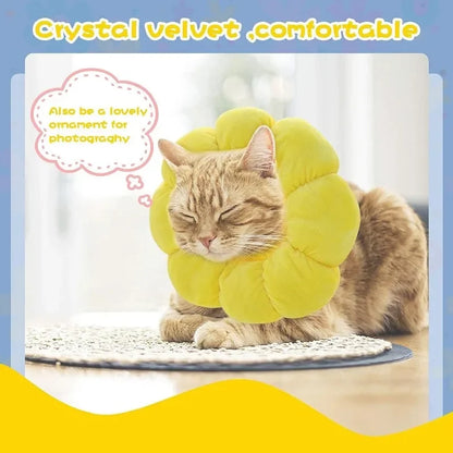 Sunflower Recovery Collar for Cats