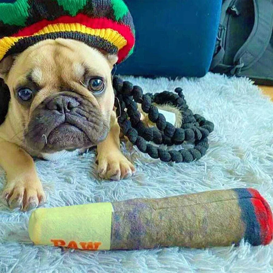 Cigar Plush Squeaky Dog Toy