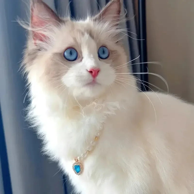 Pearl Pet Necklace Collar