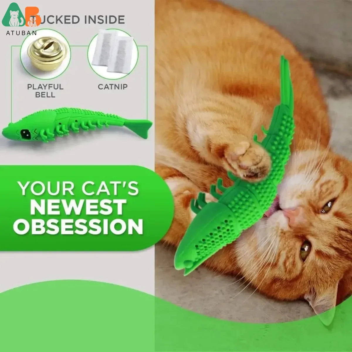 Cat Toothbrush Toy