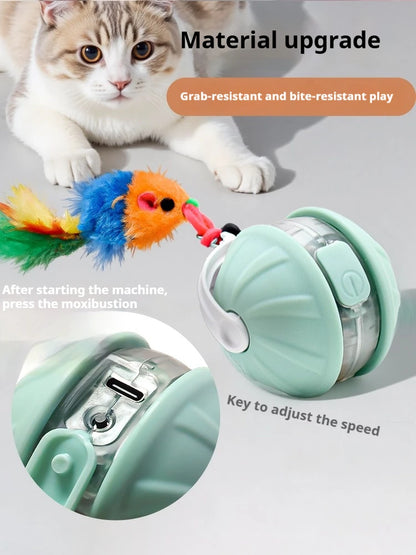 Interactive Rechargeable Rolling Pet Ball Toy
