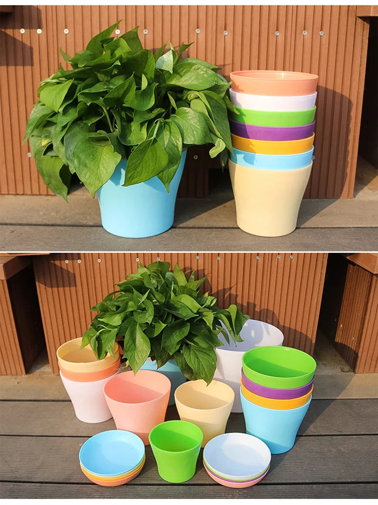 Mini Flower Pot with Tray