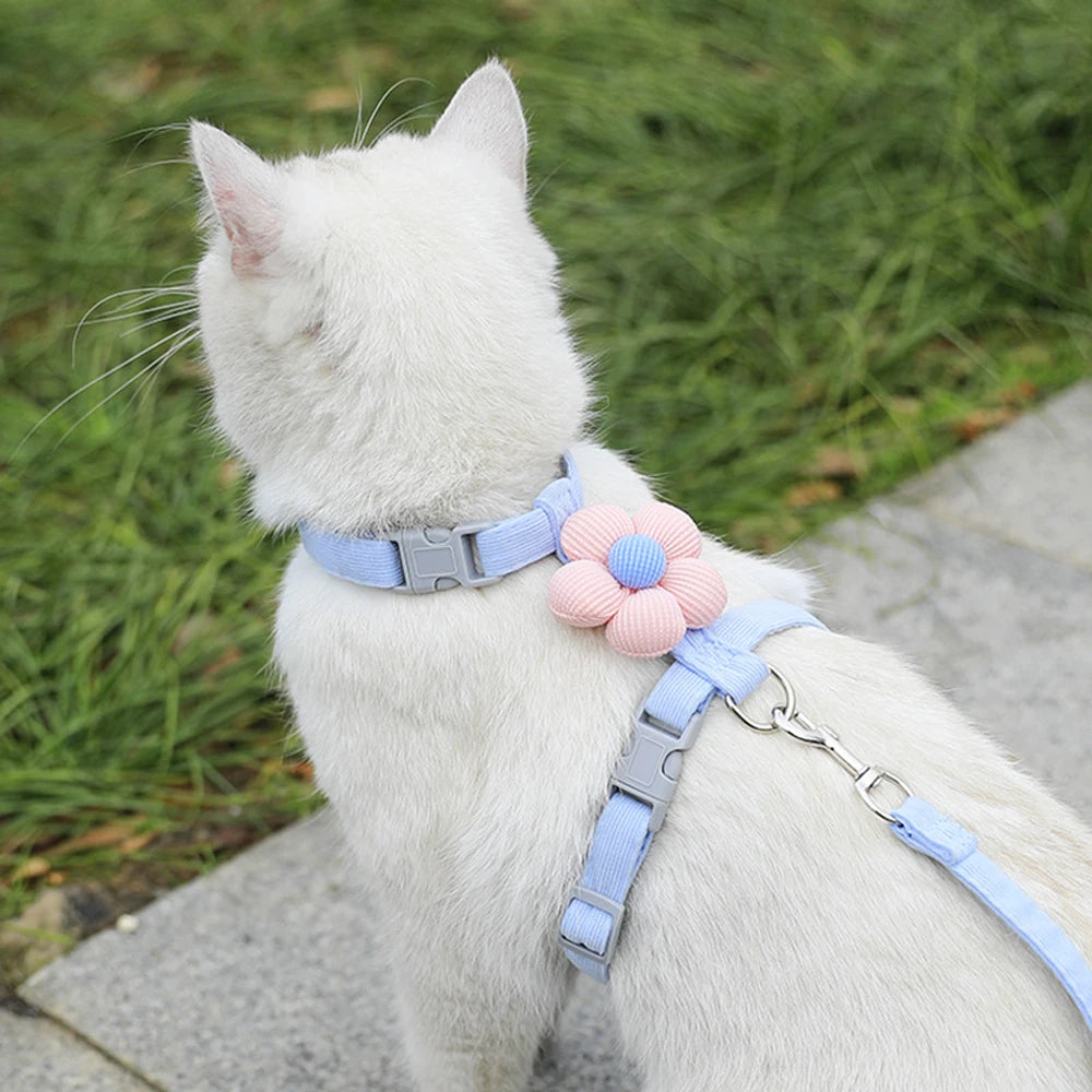 Breathable Adjustable Dog & Cat Harness with Leash Set