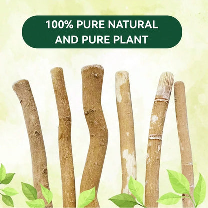 Ultra-Thin Natural Toothbrush Stick
