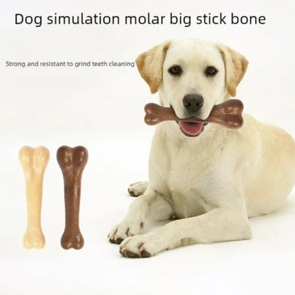 Natural Dog Bone Chew Toy