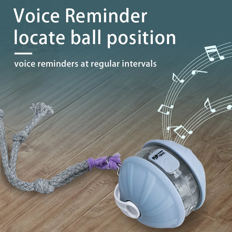 Interactive Rechargeable Rolling Pet Ball Toy