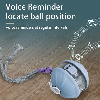 Interactive Rechargeable Rolling Pet Ball Toy