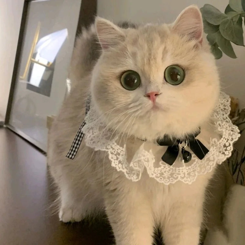 Silk Wedding Style Cat & Dog Collar with Bow Tie