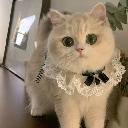 Silk Wedding Style Cat & Dog Collar with Bow Tie