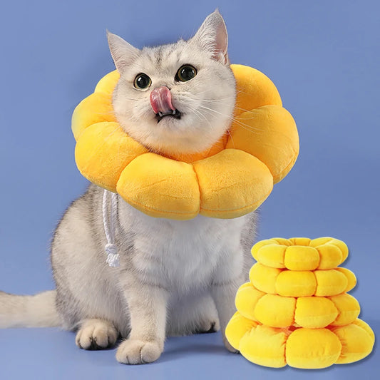 Sunflower Recovery Collar for Cats & Small Dogs
