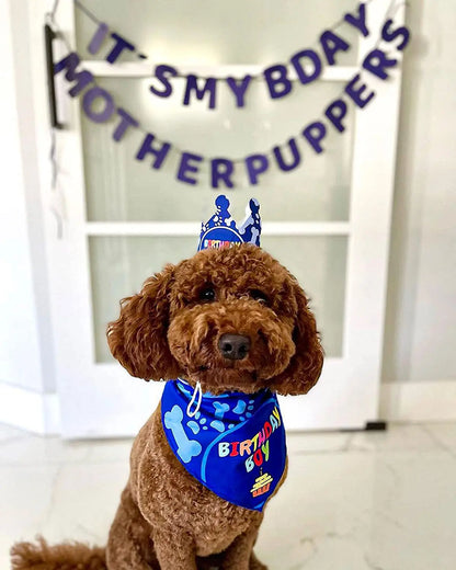 Dog Birthday Party Bandana Set
