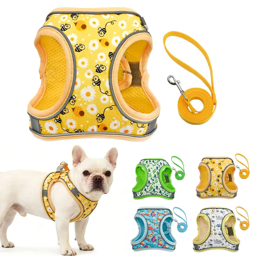 Breathable Mesh Dog Harness & Leash Set