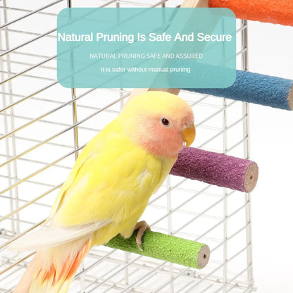 Bird Climbing Ladder