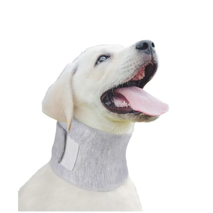 Adjustable Dog Neck Brace for Surgery Recovery