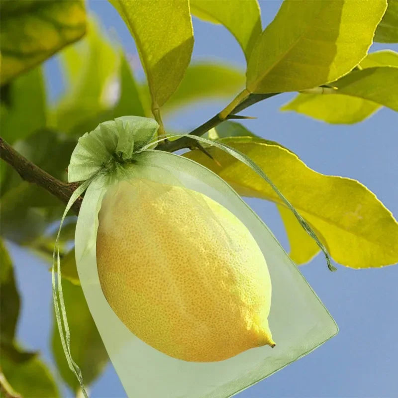Fruit Protection Grow Bags