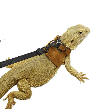 Reptile Harness Leash Set