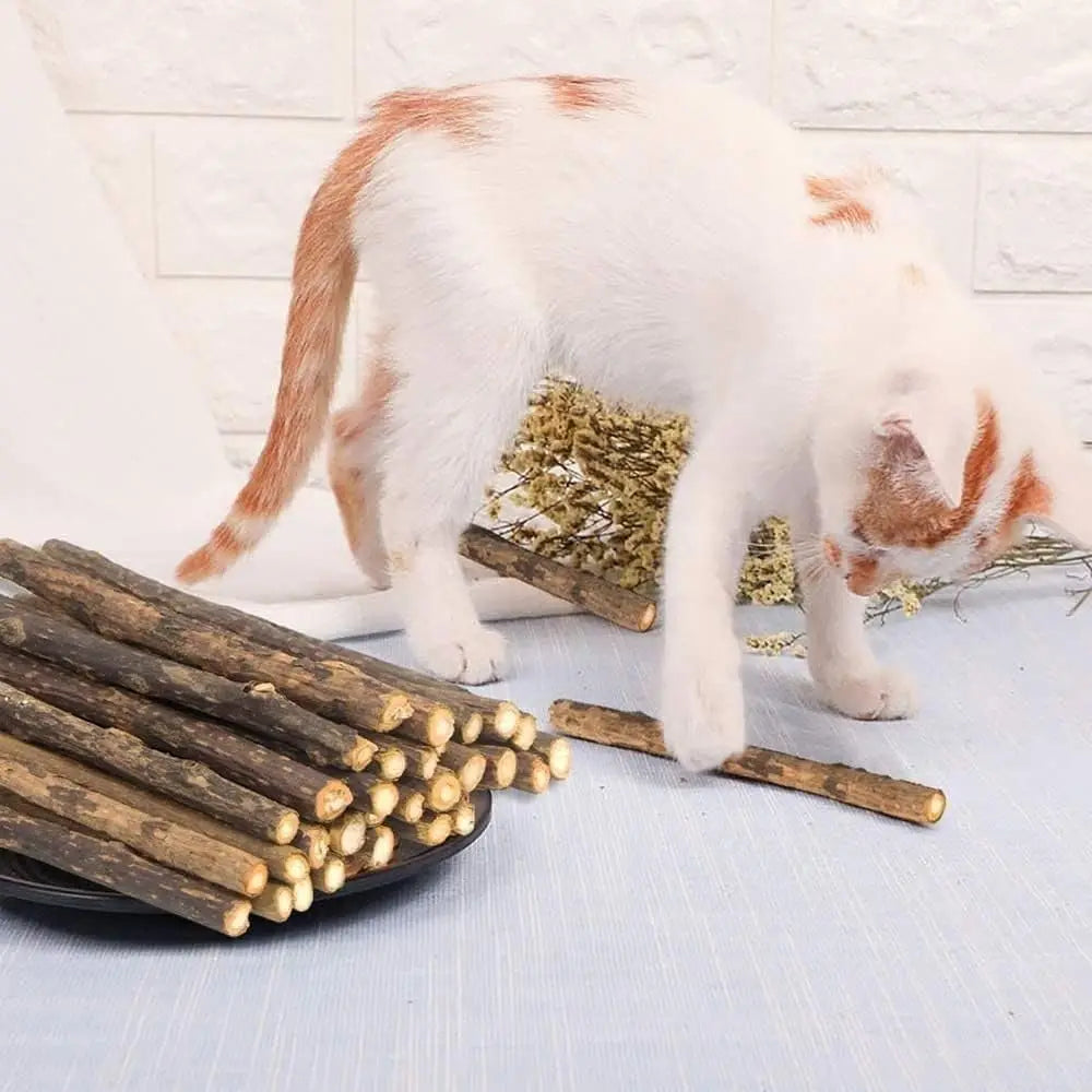 Natural Catnip Silvervine Chew Sticks for Cats