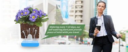 Self-Watering Plant Pot
