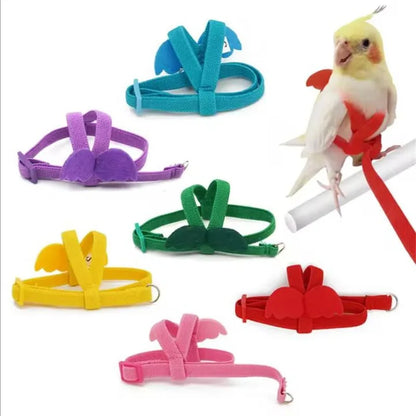 Parrot Training Harness & Anti-Bite Leash Set