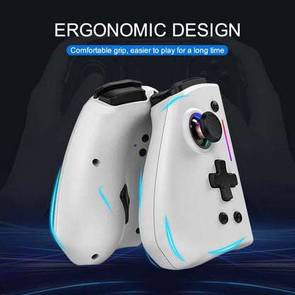 Wireless Bluetooth Controller for Nintendo Switch & OLED