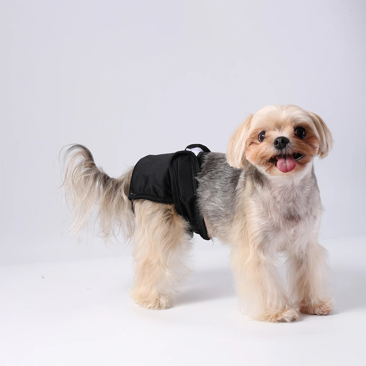 Washable Female Dog Diaper