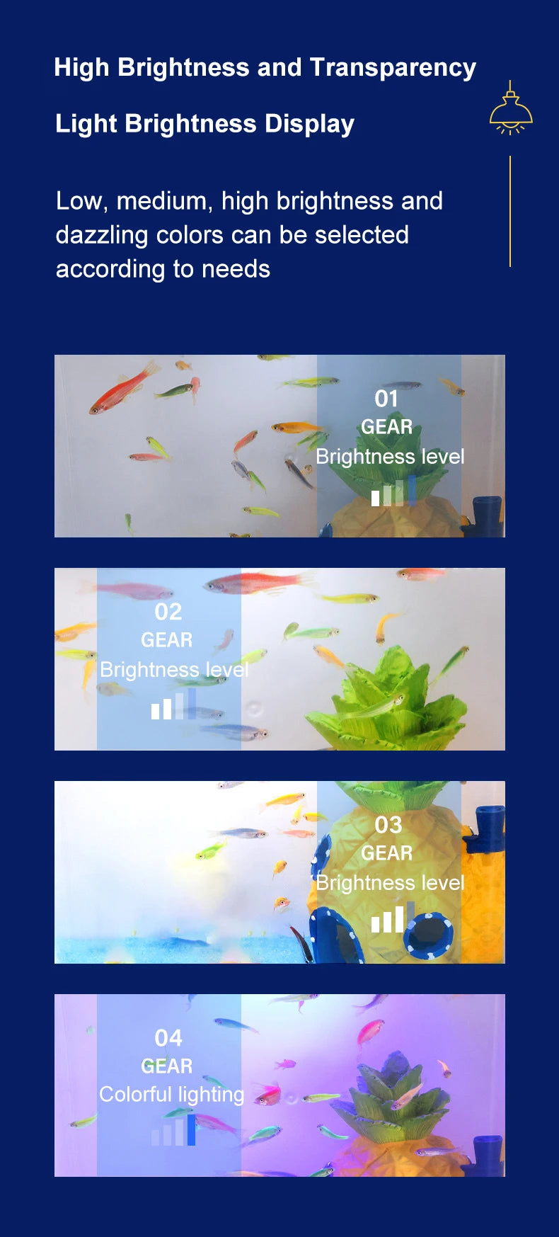 Mini USB Self-Filtering Aquarium with LED Light
