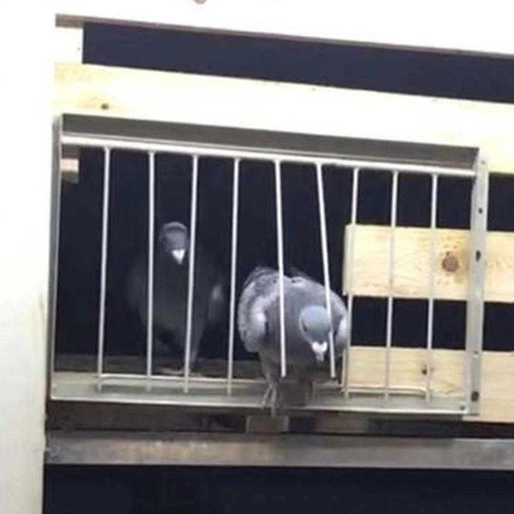 Stainless Steel Pigeon Trap Door