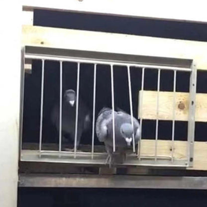 Stainless Steel Pigeon Trap Door
