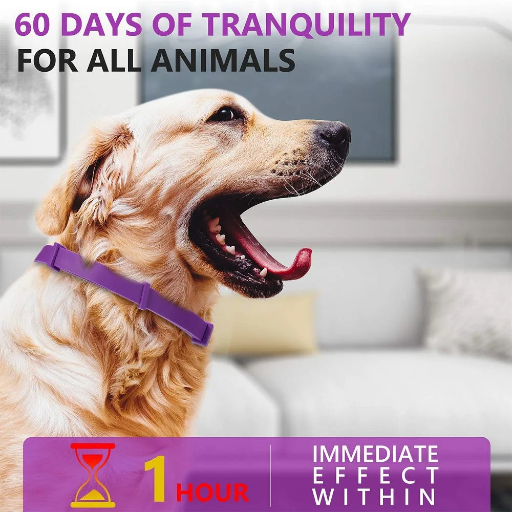 Pet Calming Collar