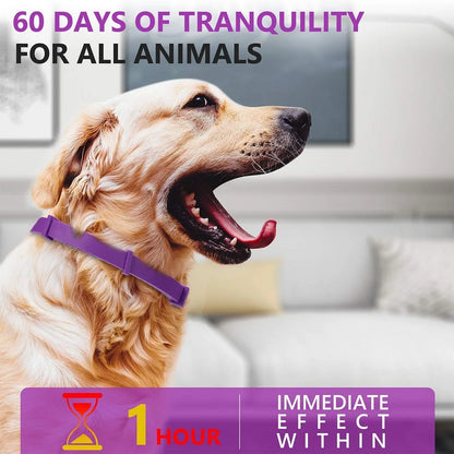 Pet Calming Collar