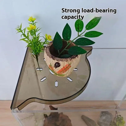 Aquarium Corner Storage Shelf for Plants & Accessories