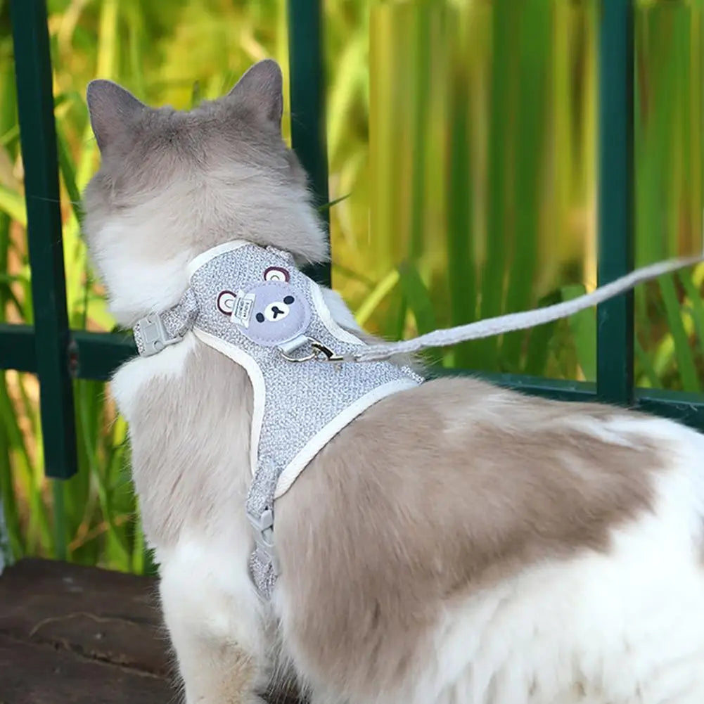 Bear Pet Harness & Leash Set for Small Dogs & Cats
