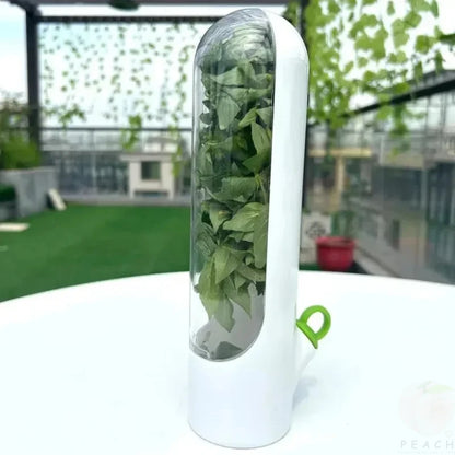 Food Fresh-Keeping Storage Box for Vegetables & Herbs