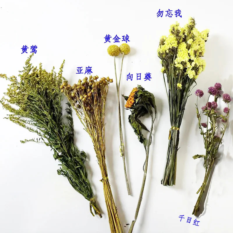 Natural Dried Flower Habitat Decor for Small Pets
