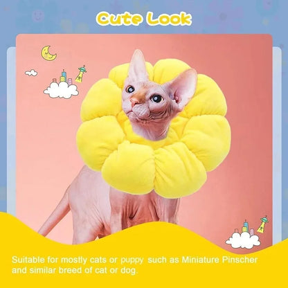 Sunflower Recovery Collar for Cats