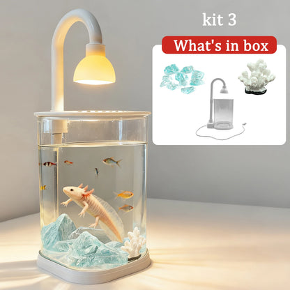 Mini Starter Fish Tank Kit with Light
