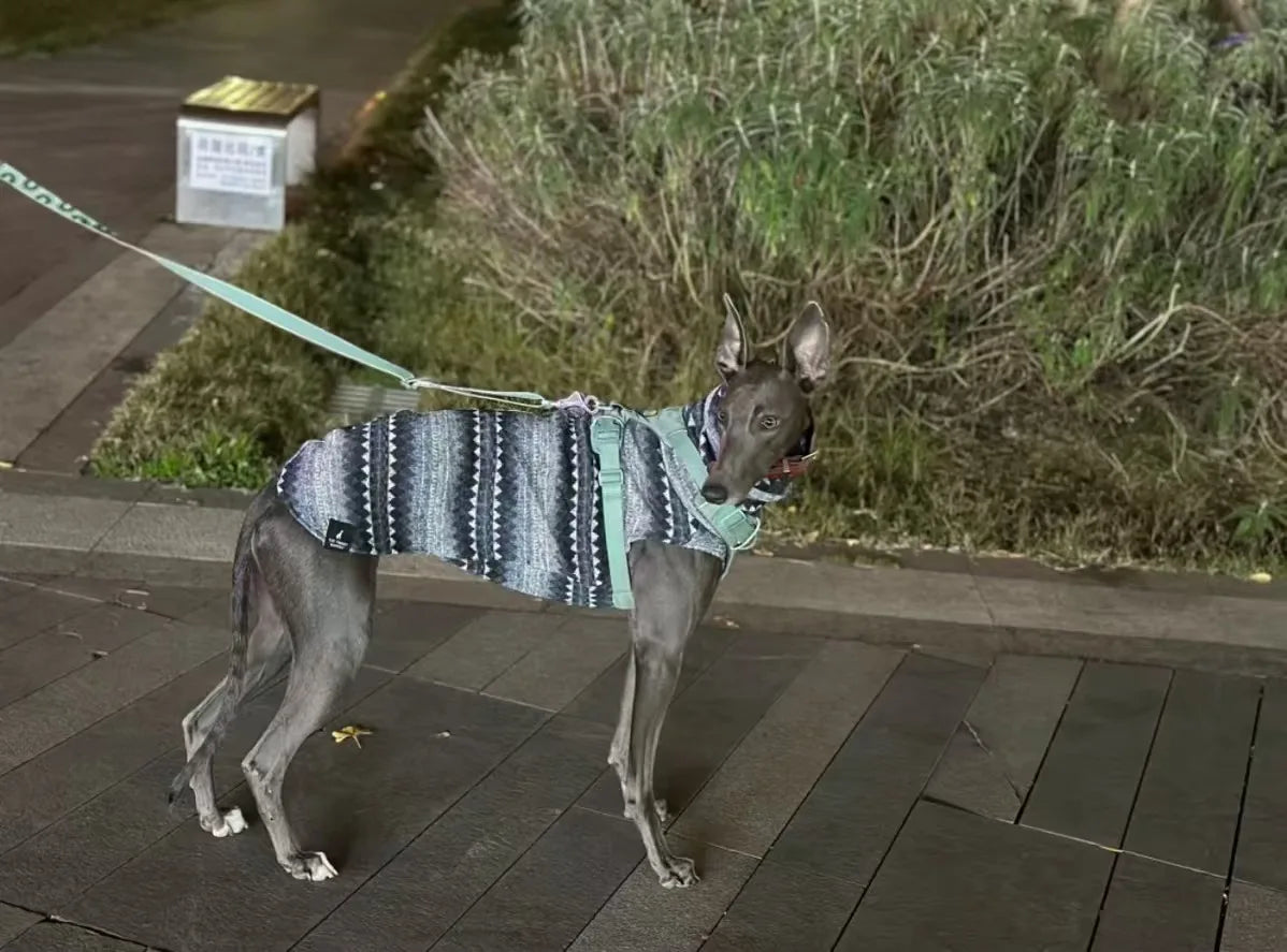 Greyhound Fleece High-Neck Dog Vest
