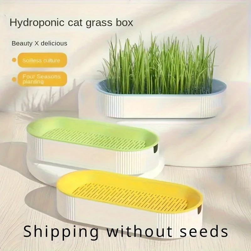 Practical Household Accessory – Hydroponic Cat Grass Box