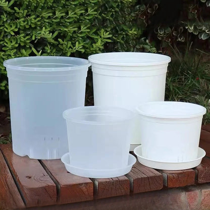 Transparent Nursery Plant Pot