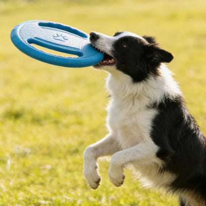 EVA Dog Flying Disc Fetch Toy